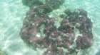 fhd0046_small.jpg
