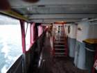 dunz352_small.jpg