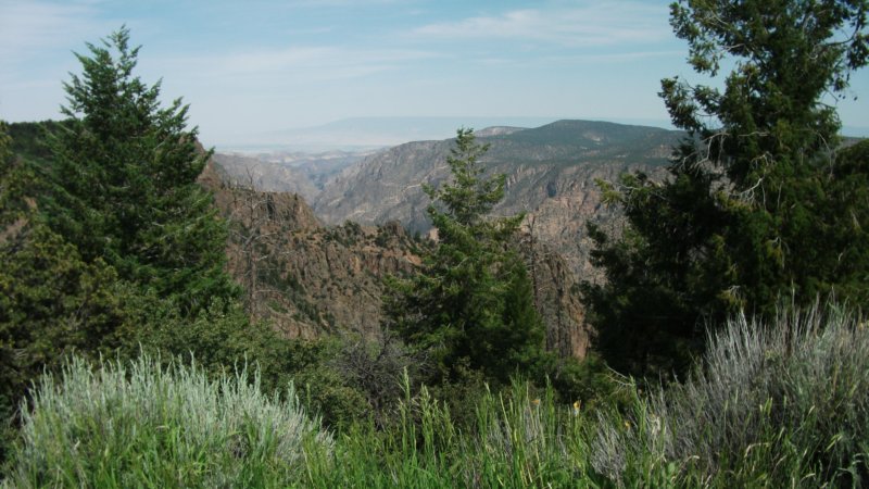 rc0737.jpg