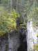 rm202_small.jpg