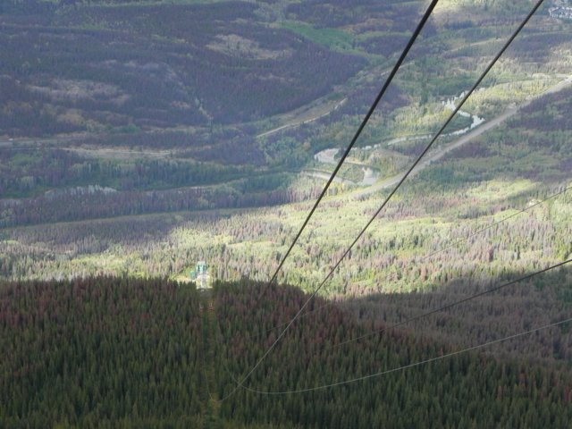 rm243.jpg