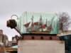 g1_small.jpg